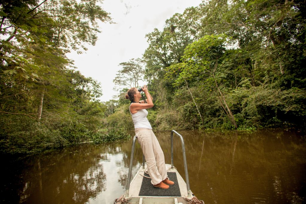 Buy One, Get One 50% off the Delfin III Amazon Cruise