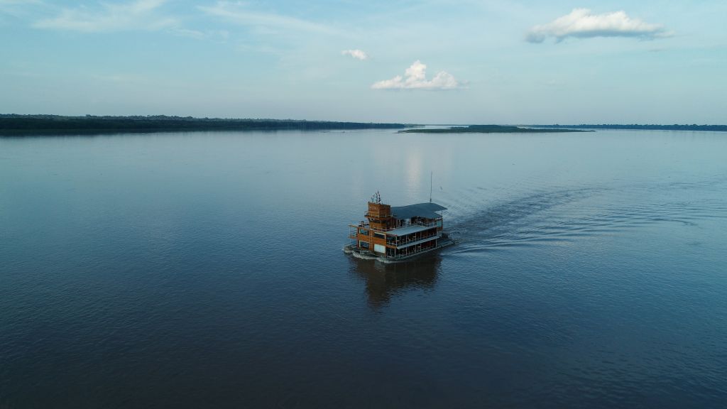 Exploring the Wonders of Global Big Day: Celebrating Migratory Birds in the Amazon Rainforest