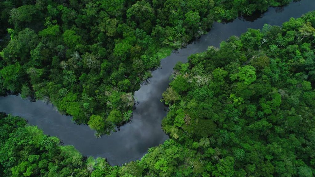 Delfin Amazon Cruises Resumes Operations in the Upper Peruvian Amazon This December 2020