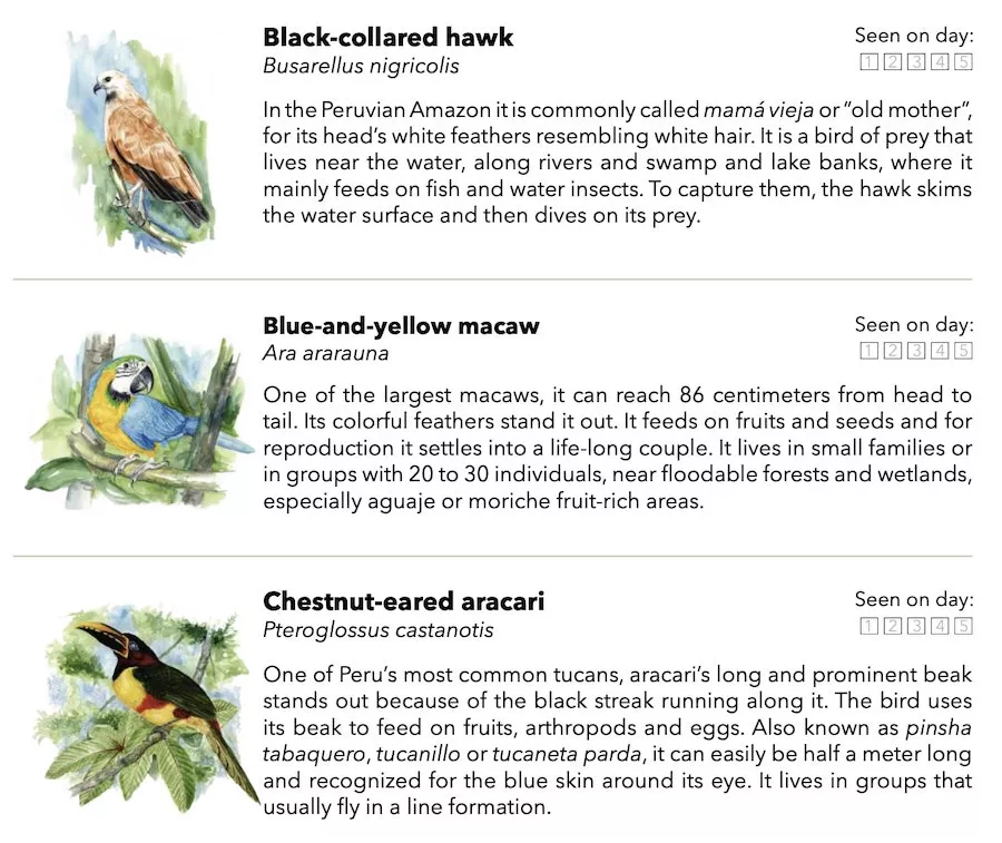 Pacaya Samiria Wildlife Checklist